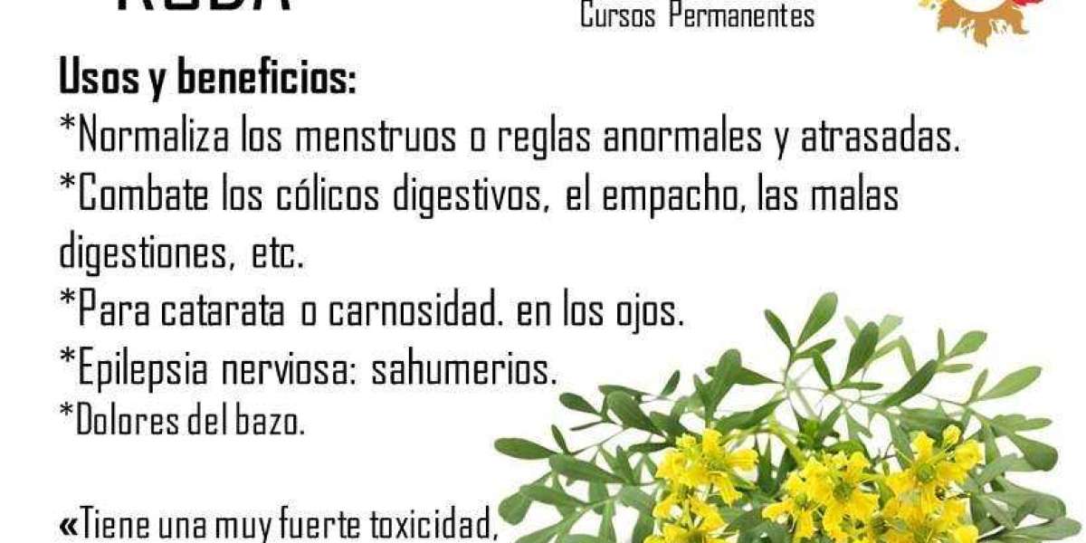 Descubre los Asombrosos Beneficios de la Ruda para Revitalizar tu Piel