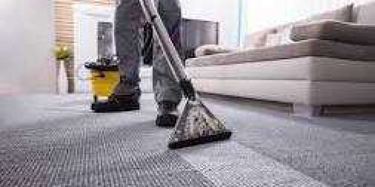 How Professional Carpet Cleaning Sets the Tone for Home Aesthetics