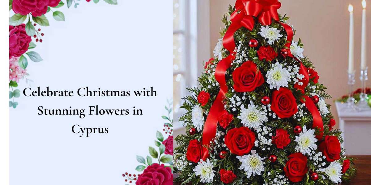 Celebrate Christmas with Stunning Flowers in Cyprus