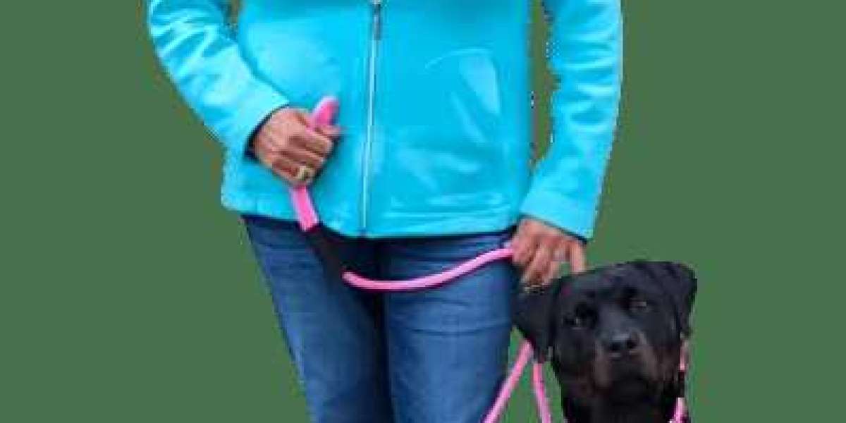 Why the Good Walker Leash Enhances Your Dog Walks