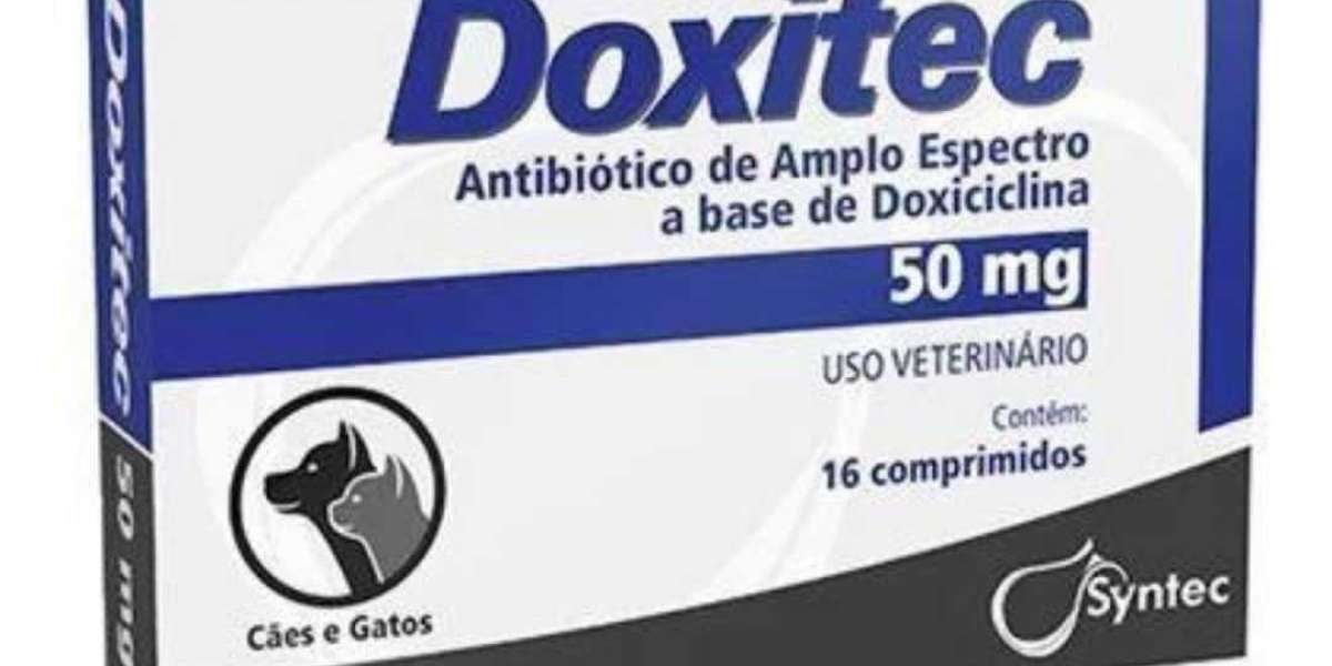 Otite Externa Canina: Sintomas, Causas e Tratamentos que Você Precisa Conhecer