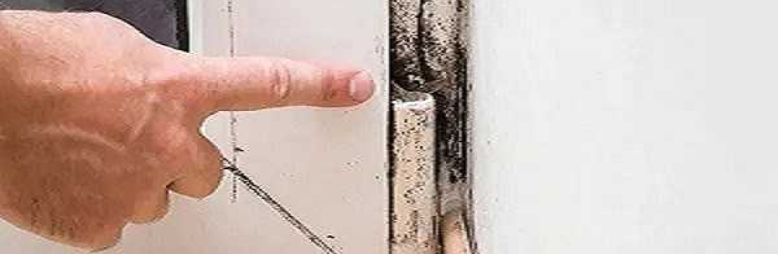 Mould Doctors Cover Image