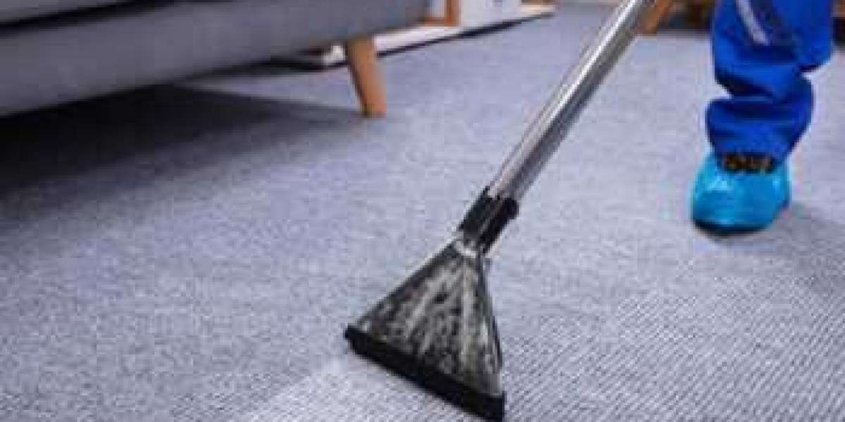﻿﻿Why Carpet Cleaning is a Must for Homes with Pets