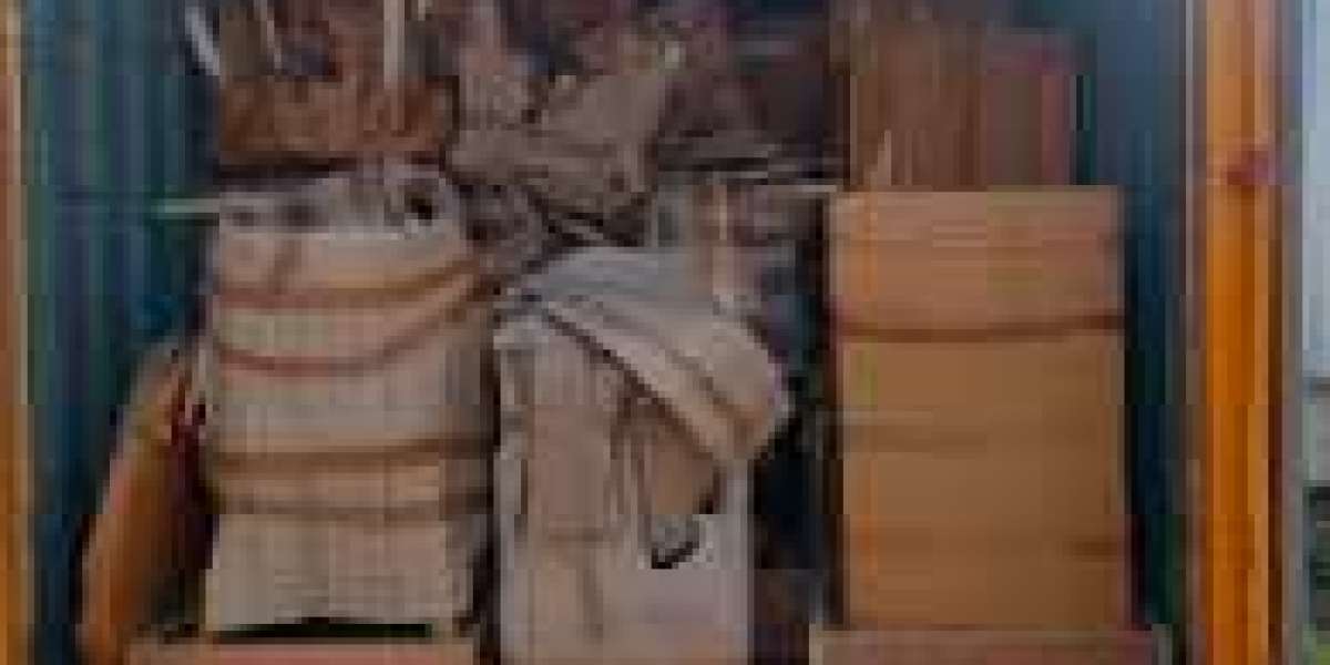 Allianz Packer – Your Trusted Moving Partner in Noida and Gurgaon