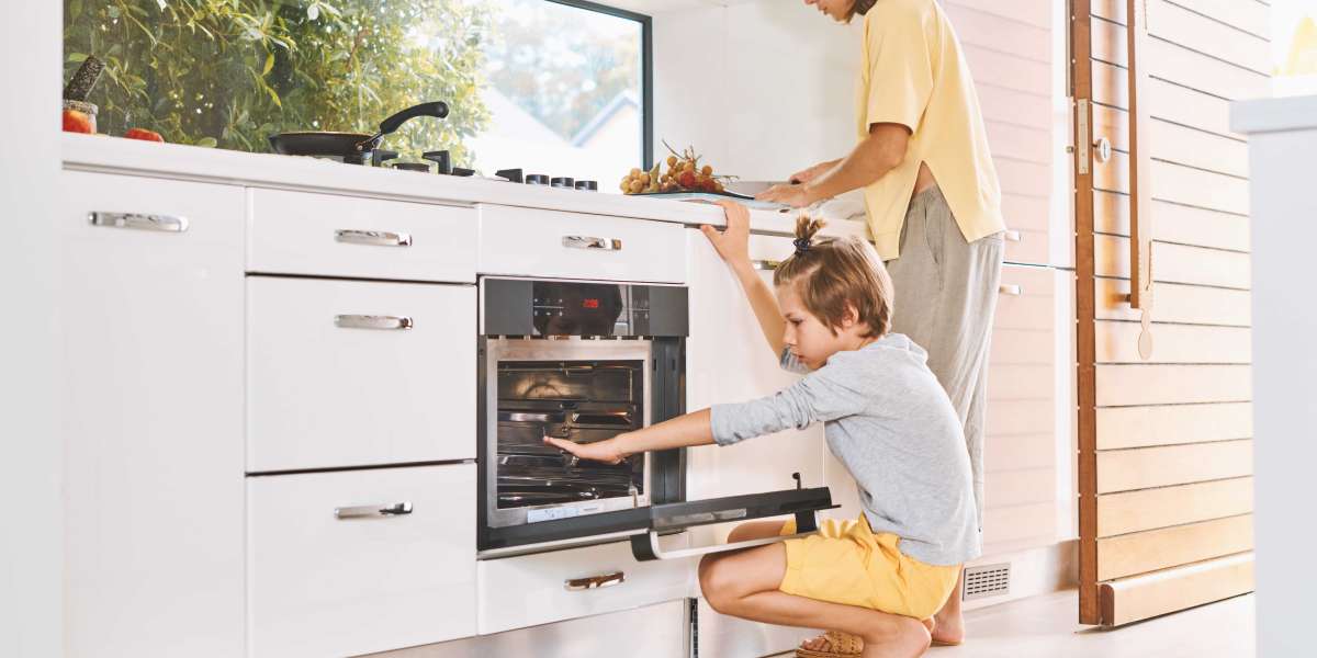20 Tips To Help You Be More Effective At Integrated Oven