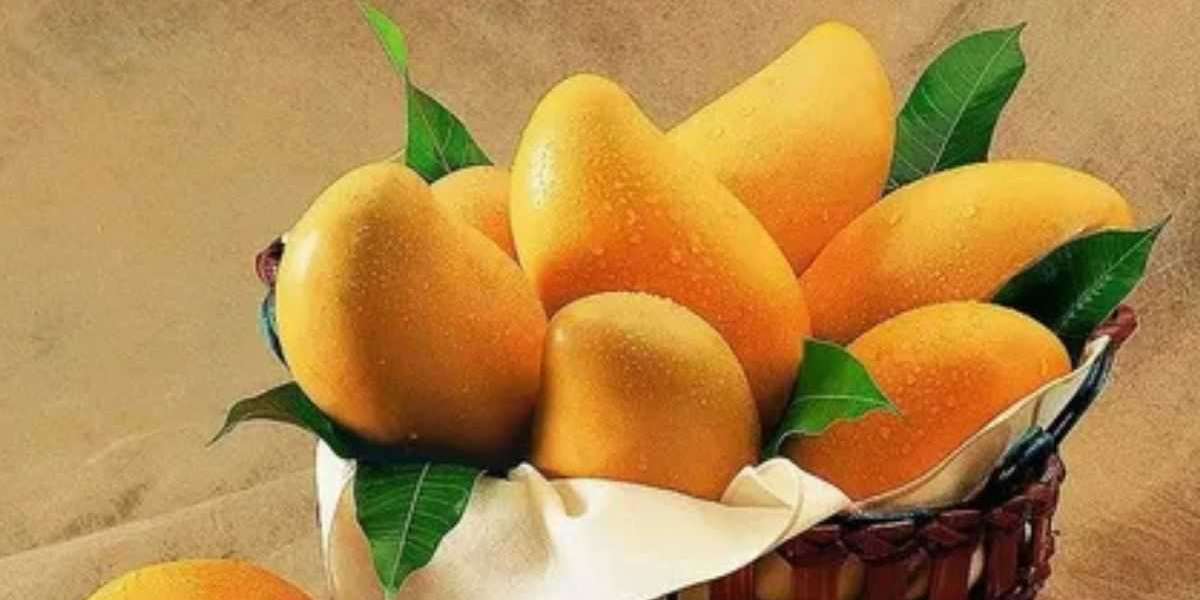 Fresh Mangoes Price in Pakistan 2025: Predictions for Organic Varieties
