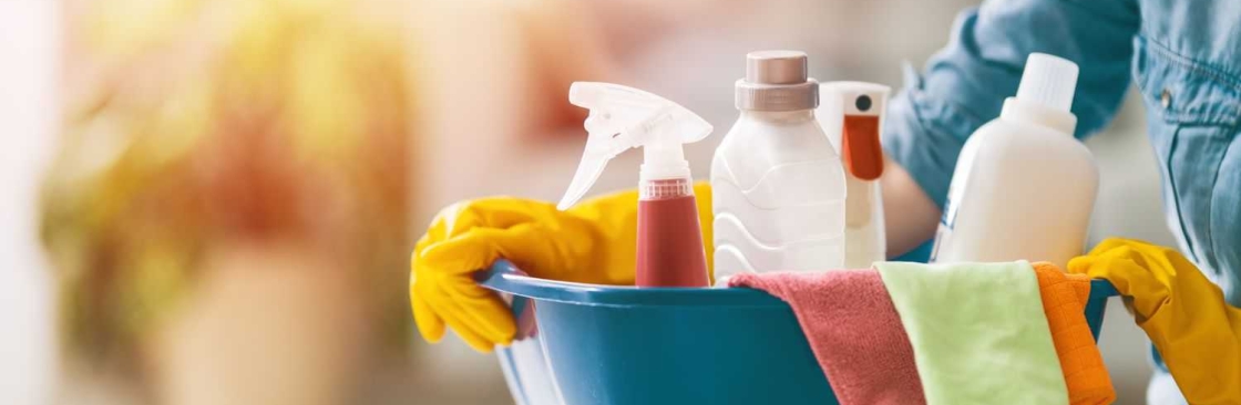 Aloha Maids Cover Image