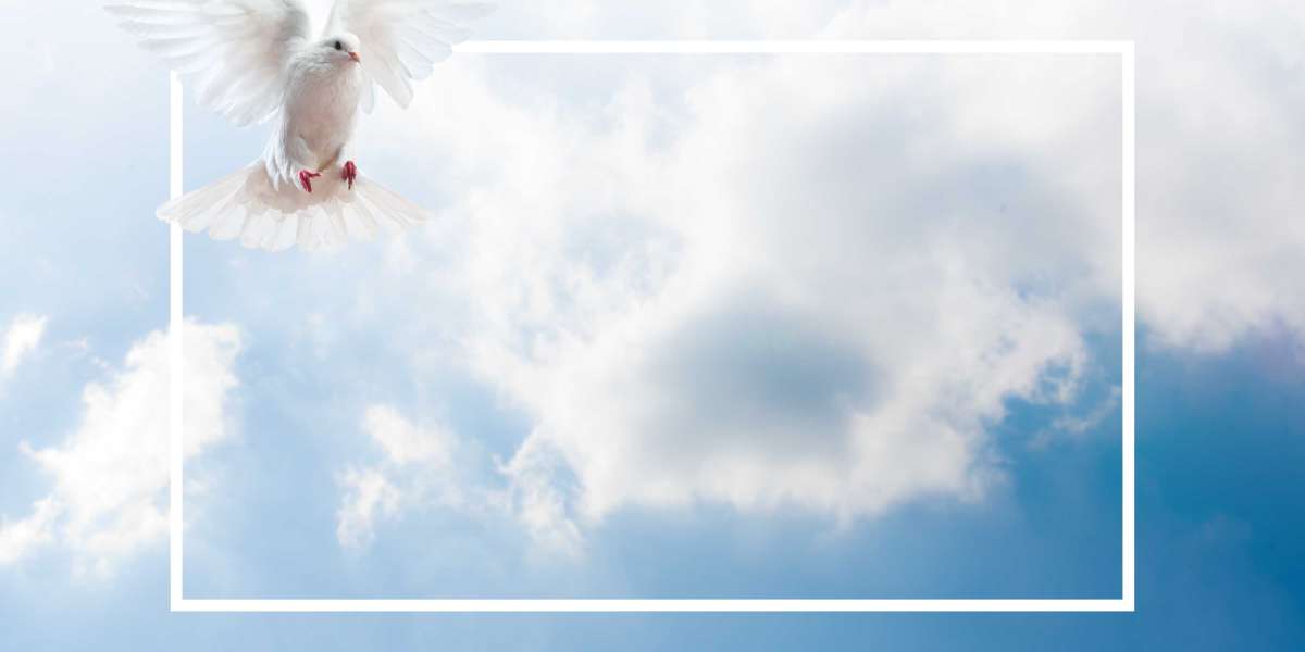 Case Study: The Acquisition and Use Of Modafinil Pills