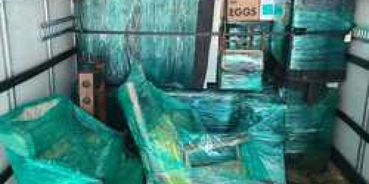 Professional Movers in Fort Lauderdale for Hassle-Free Relocation