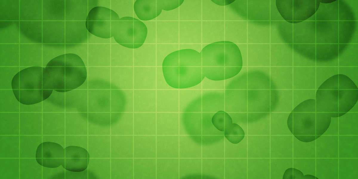 The Best Ways to Buy Gold for Investment in 2023