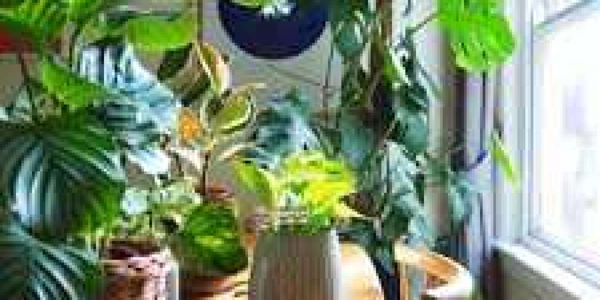 5 Key Benefits of Using a TVOC Indoor Air Quality Monitor