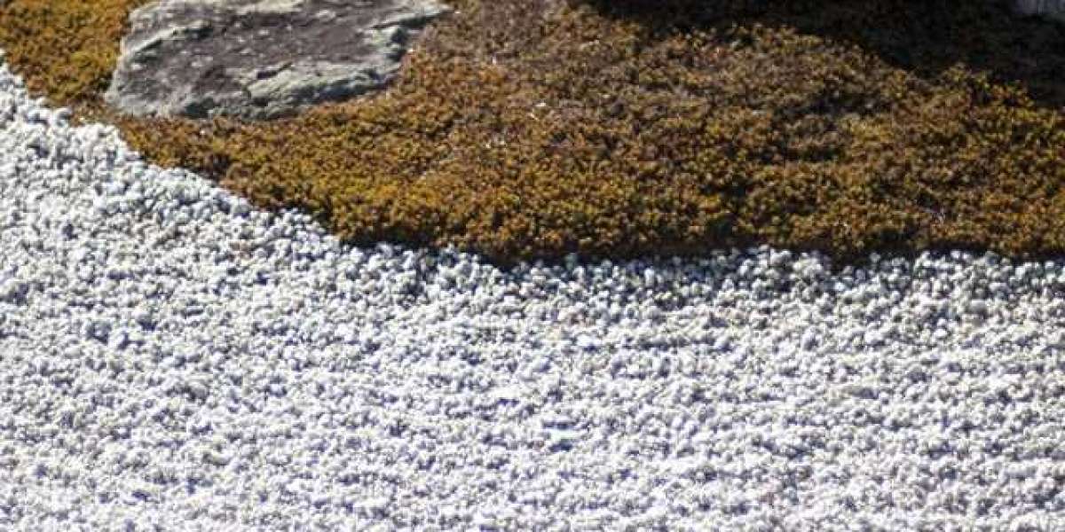 Peptide Therapy In Las Vegas