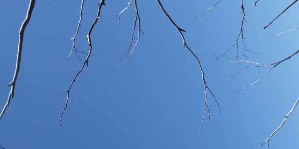 Sermorelin Vs Ipamorelin: Which Is Best For You?