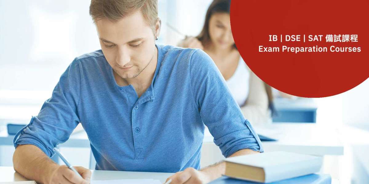 Learning Opportunities Abroad: From Coding Skills to Language Growth