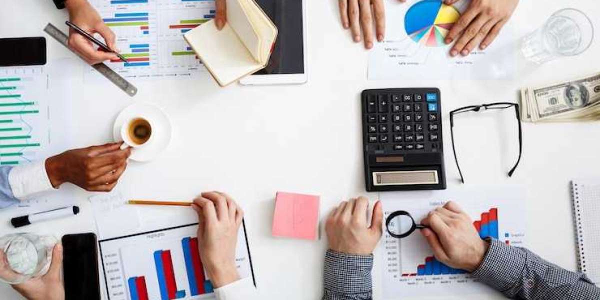 The Role of Audit Reviews in Strengthening Stewardship Codes