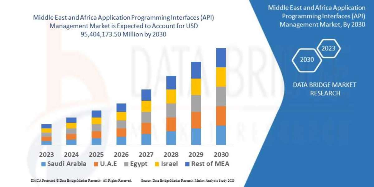 Middle East and Africa Application Programming Interfaces (API) Management Market Overview, Growth Analysis, Trends and 