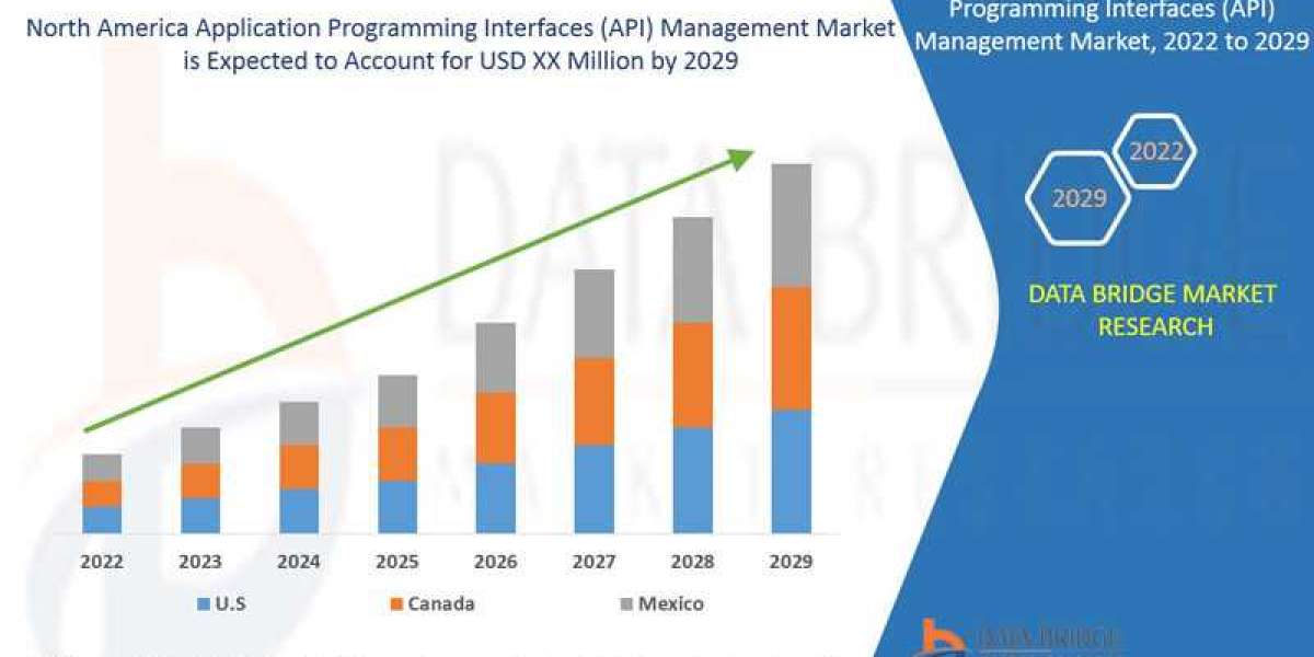 North America Application Programming Interfaces (API) Management Market Overview, Growth Analysis, Trends and Forecast 