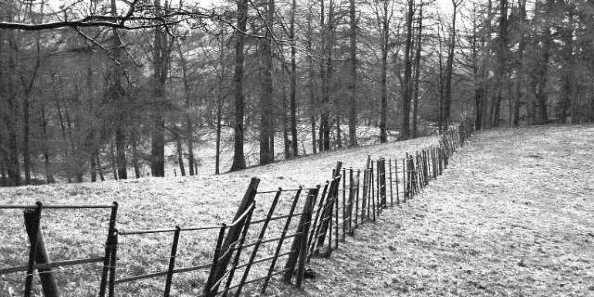 Tesamorelin Vs Sermorelin: Functions, Makes Use Of, And Issues