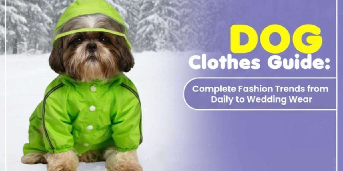 Dog Cloths Guide: Complete Fashion Trends from Daily to Wedding Wear