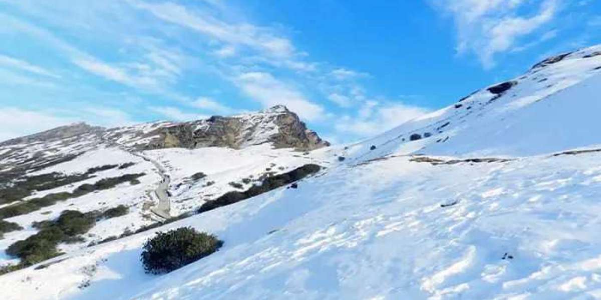 Explore the Hidden Beauty of Uttarakhand with Chopta Trek