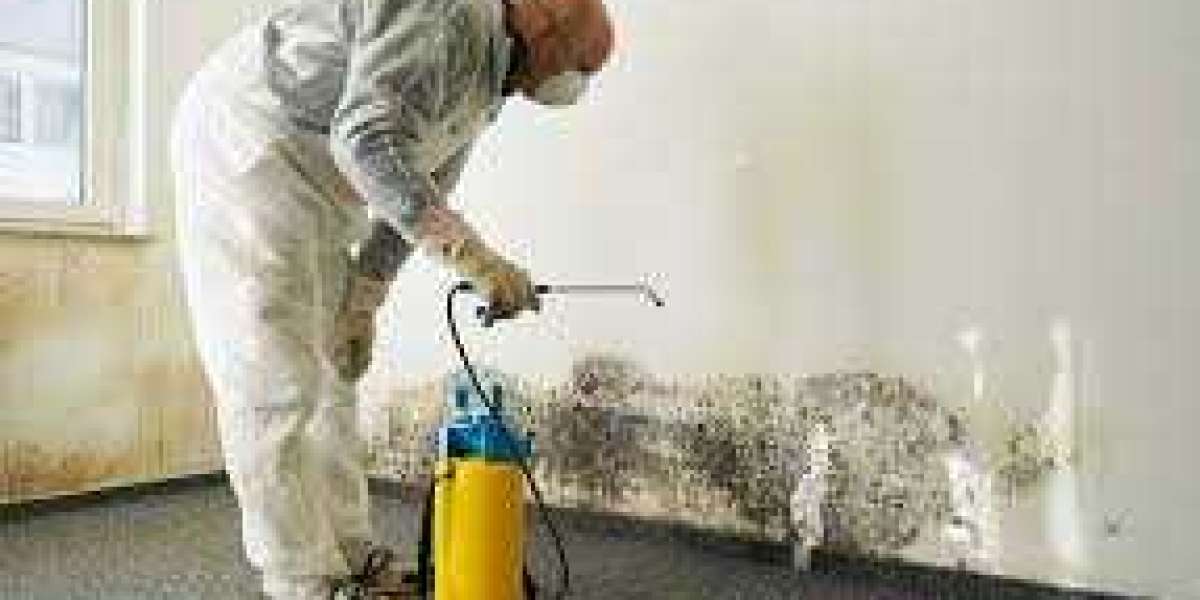 Fire Damage Restoration Services: Restoring Safety and Peace of Mind