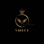 Vidyut Event Management Profile Picture