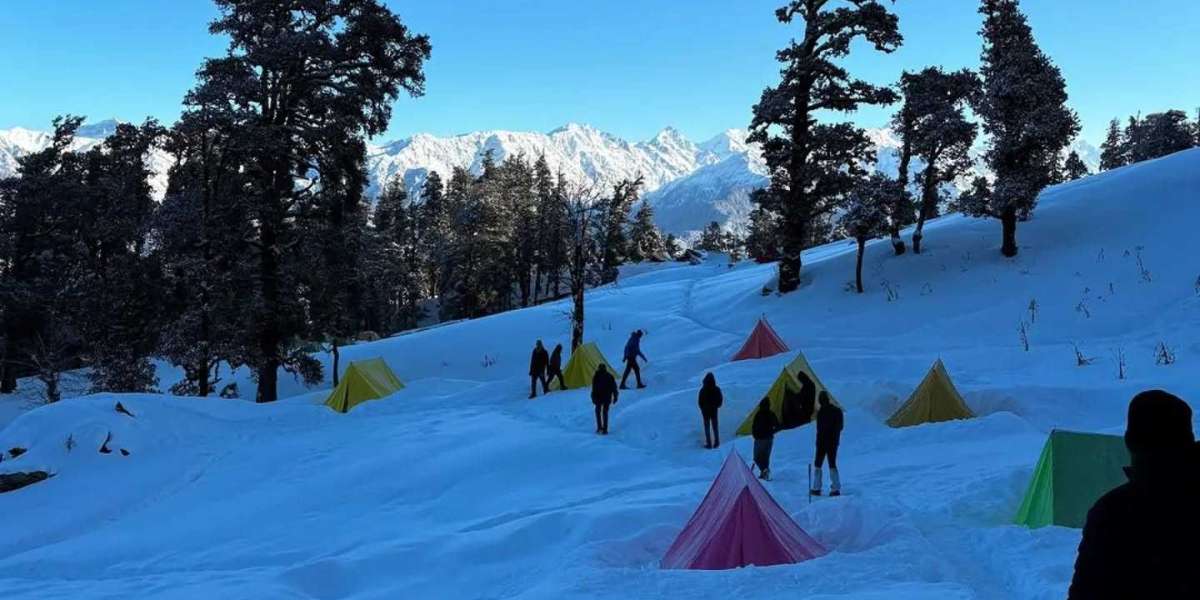 Nag Tibba Basecamp – Your Complete Trekking Guide