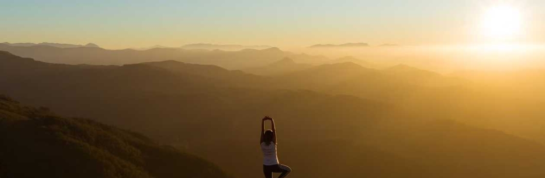 Zero Toxins Cover Image