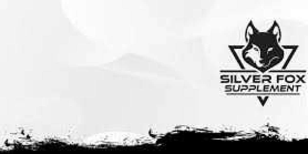 Silverfox Management: Driving Excellence in Business Solutions