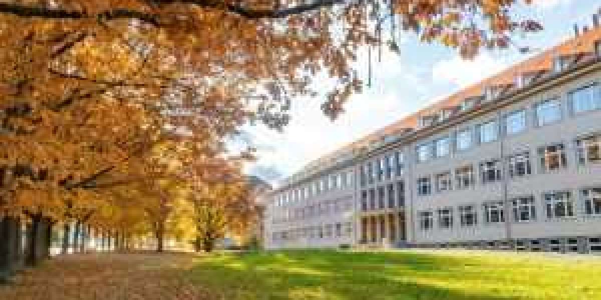 Social Work Theories