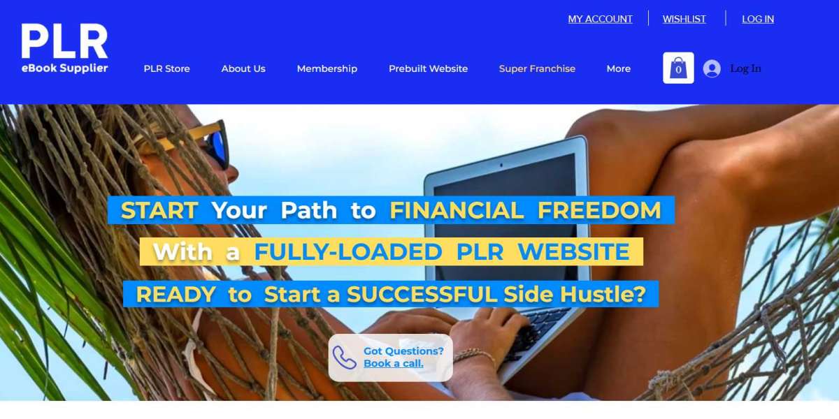 How Super Franchise DFY Business PLR Hustle Creates Multiple Streams of Online Income