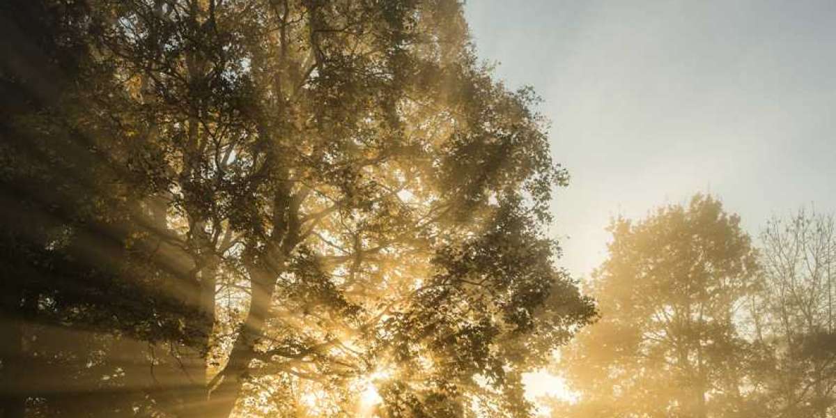 Strategic Procurement in 2026: Why Fractional Models Are Redefining Business Efficiency