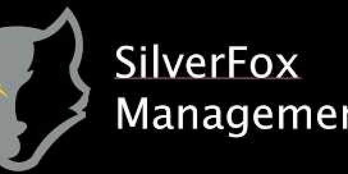 Silver Fox Management: Comprehensive Insight into Innovative Business Solutions and Executive Leadership Excellence