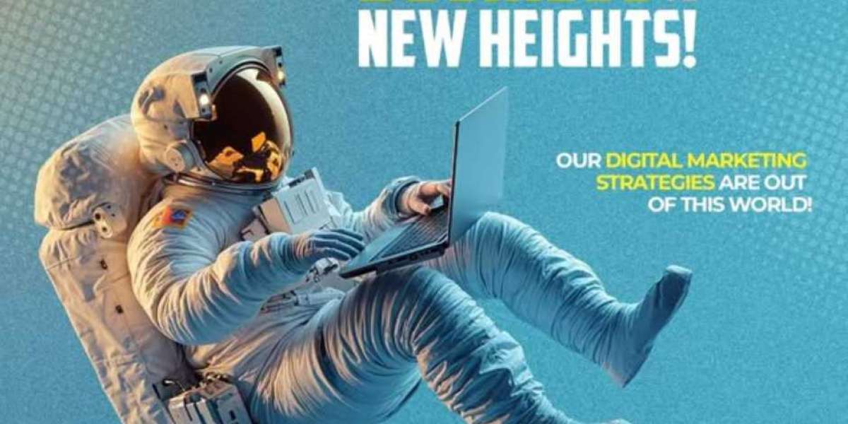 Elevate Your Digital Authority with the best Website Designing Company In Noida