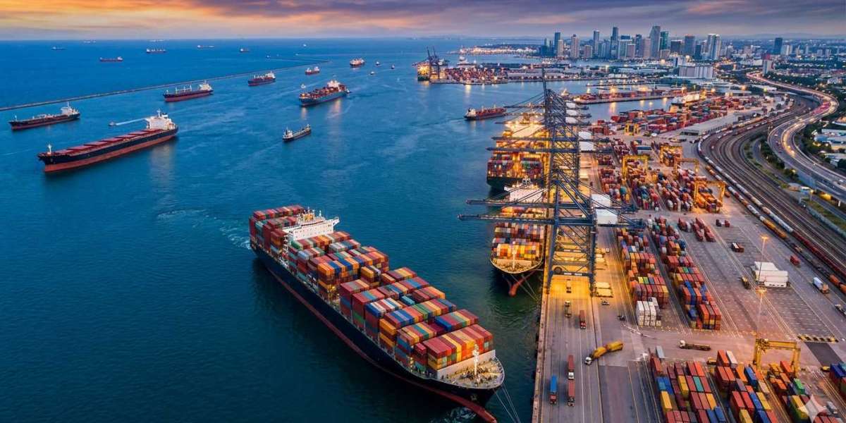 Why Sea Freight is the Backbone of International Trade