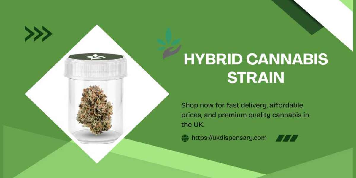 Buy Hybrid Cannabis Strain Blue Cheese Online – UK Dispensary Guide